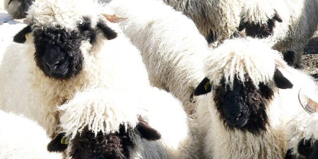KSwijter's profile banner image