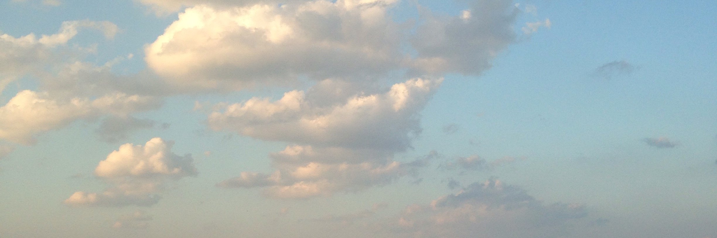Sofya S. Perelman banner