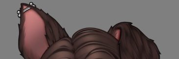 Hachii banner
