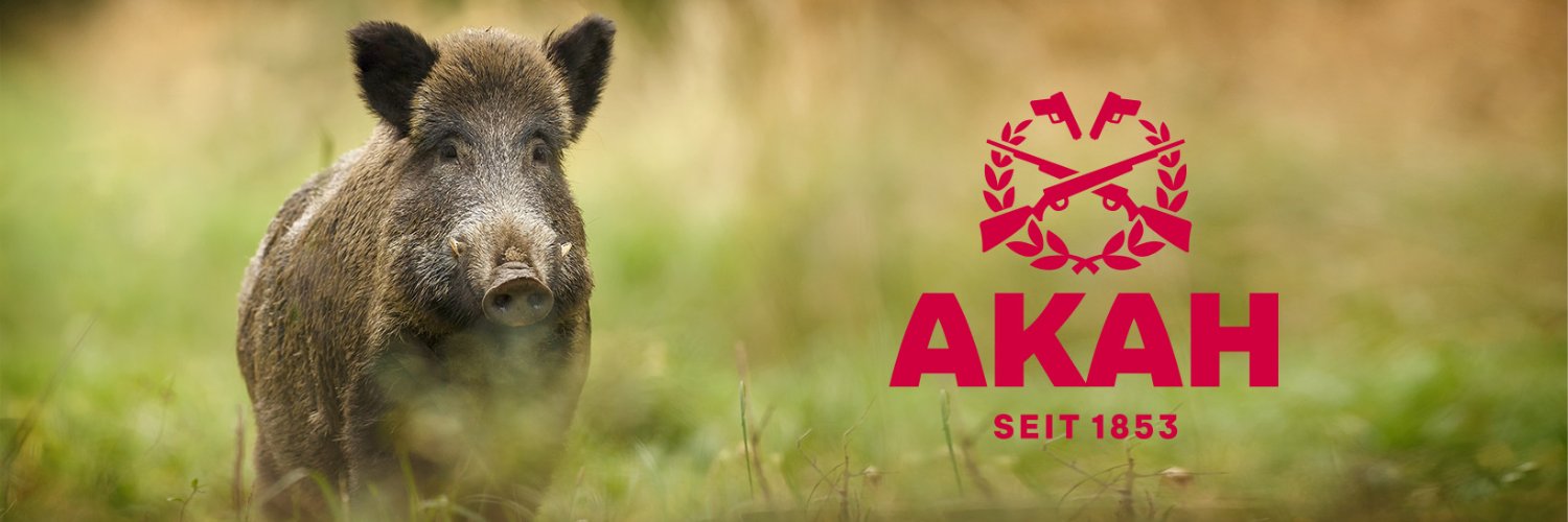 AKAHde's profile banner image