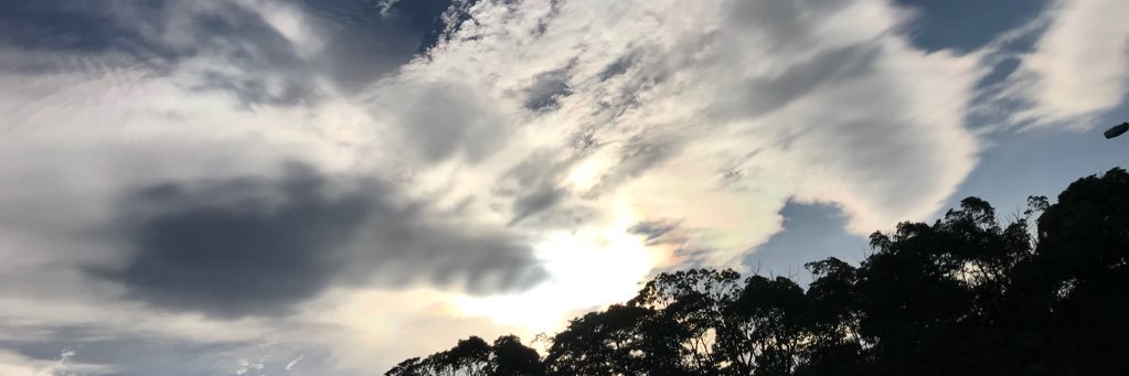 nttw_c's profile banner image