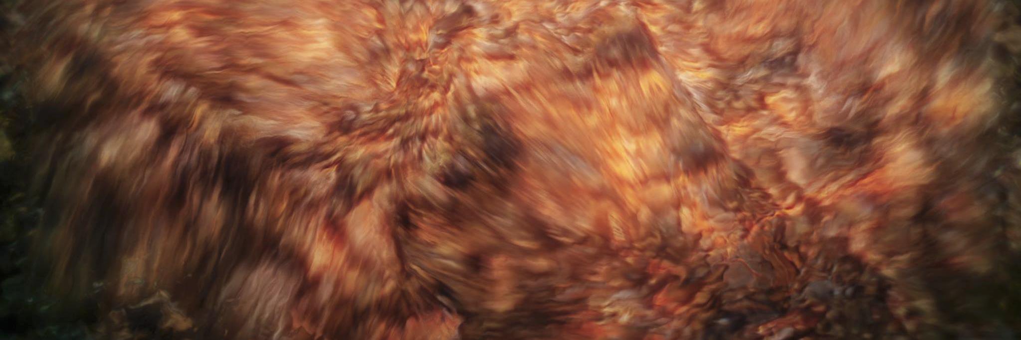 Morgan Beringer Studio banner