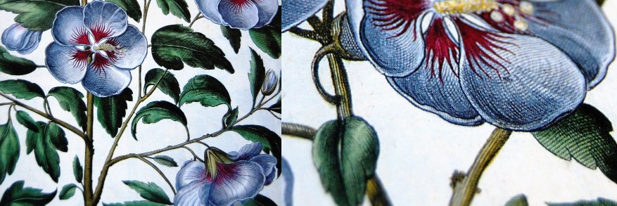 BeKult's profile banner image