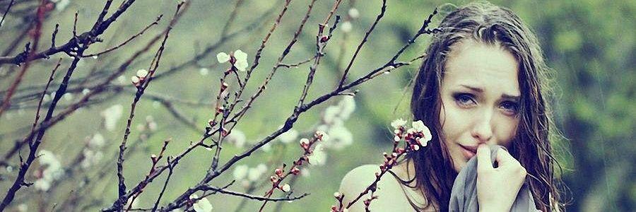 bbaseh222's profile banner image