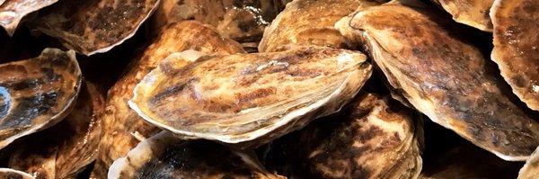 Marra Profile Banner