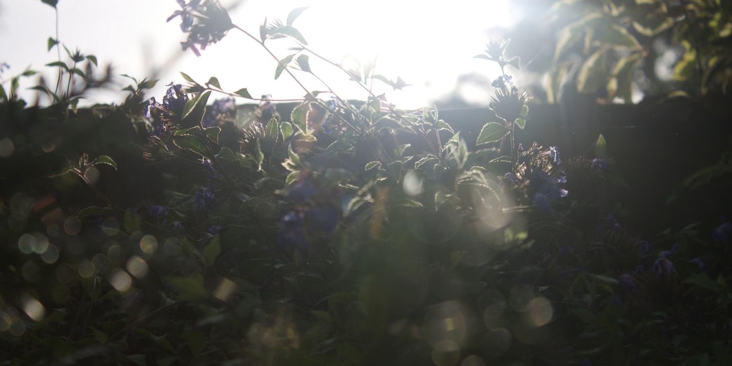 SafybabesX's profile banner image