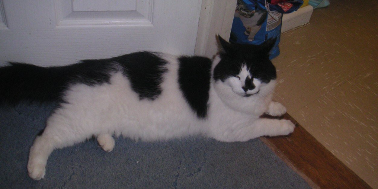 abmcarpetclean's profile banner image