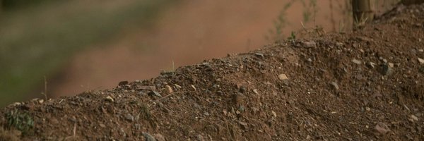 TBoltUSA Profile Banner