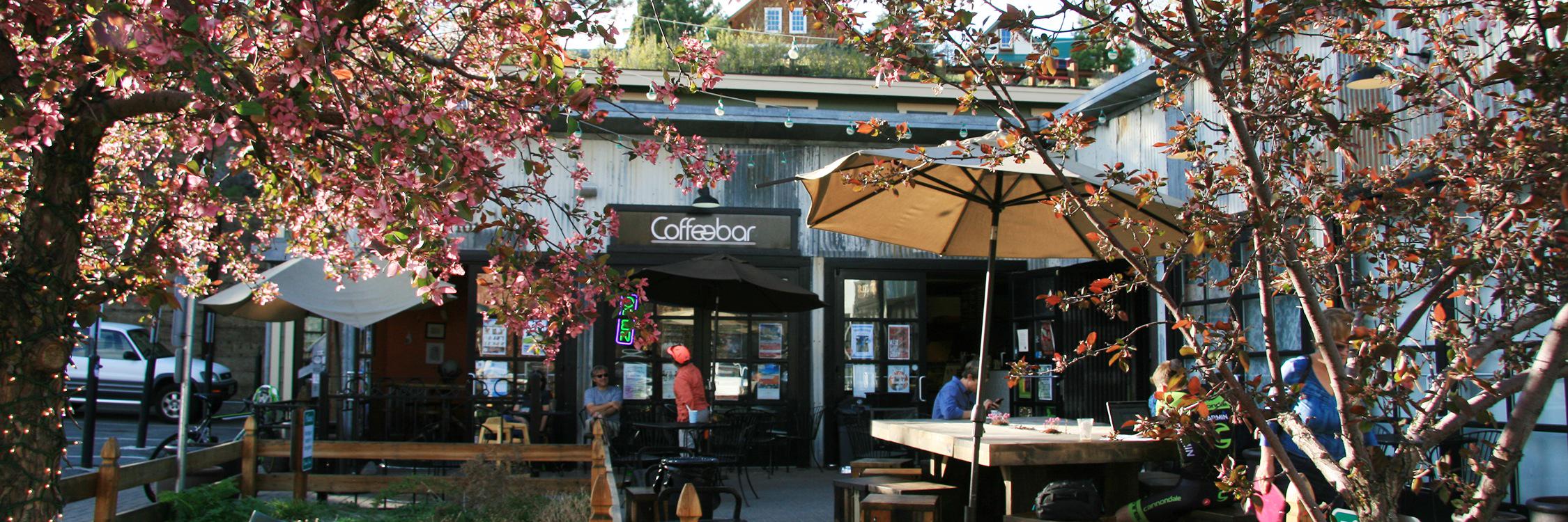 Coffeebartahoe's profile banner image