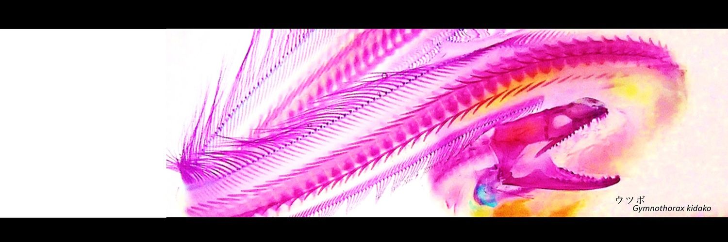 zakiyoshi29's profile banner image