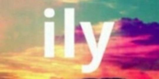 極緑会🕊 banner