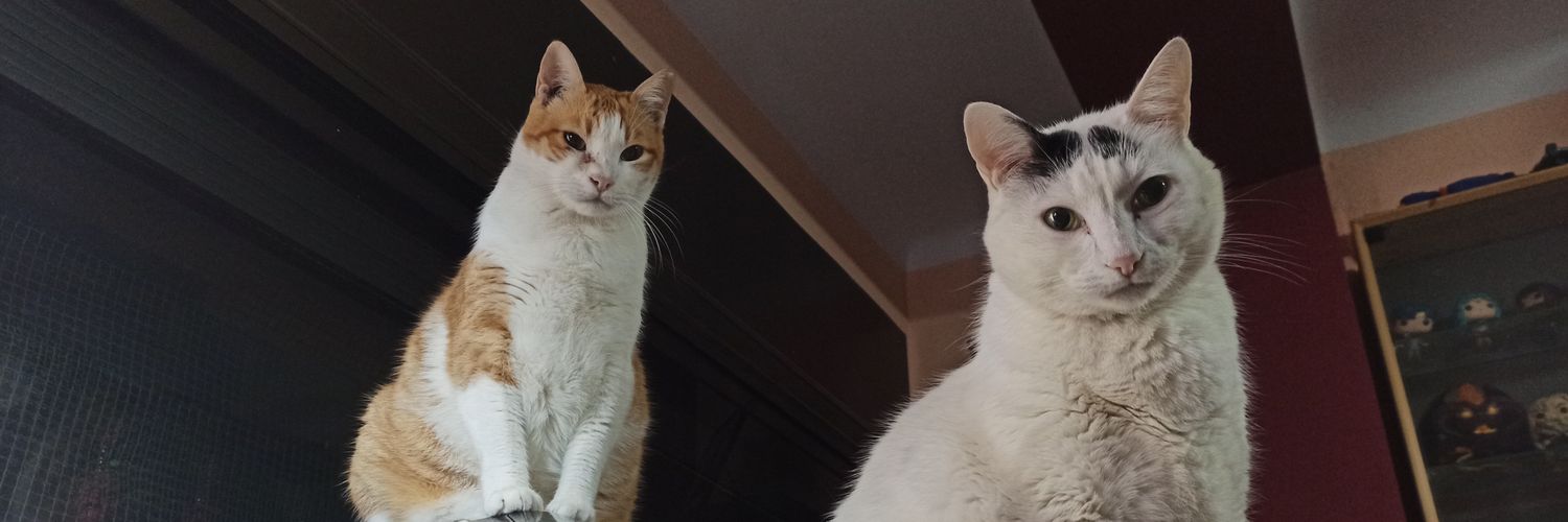 Moty_chan's profile banner image