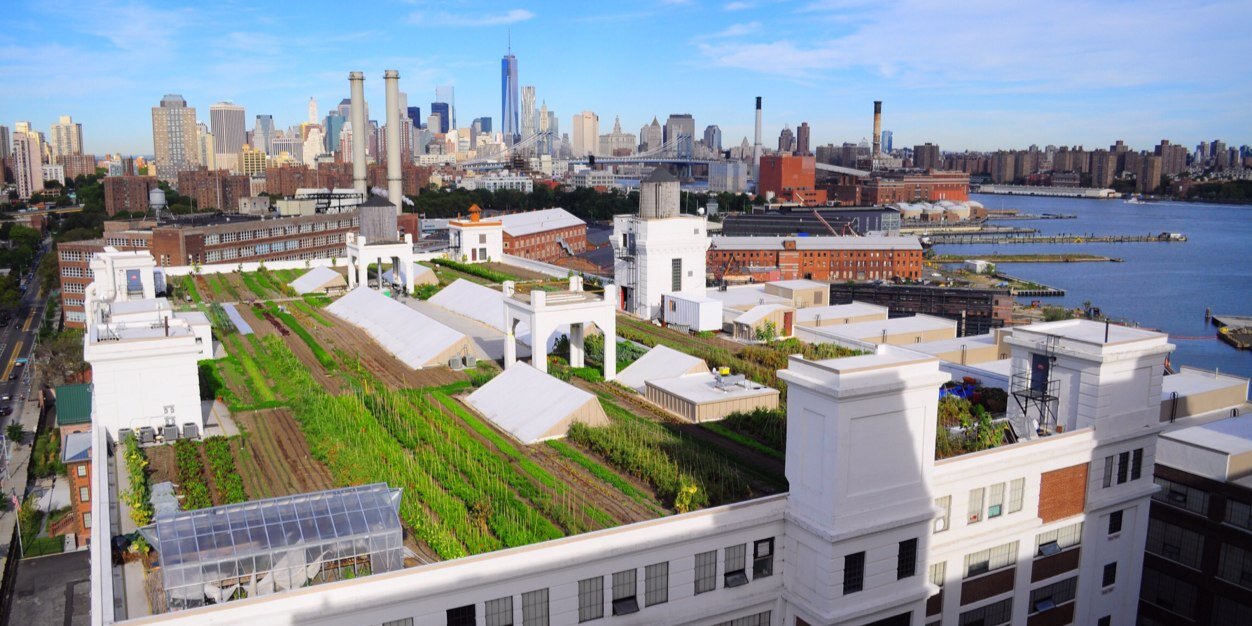 Brooklyn Grange banner