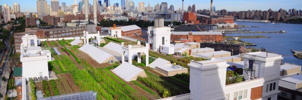BrooklynGrange Profile Banner