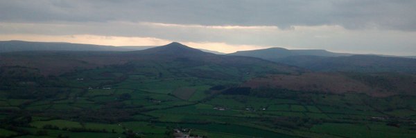 drstephbest Profile Banner