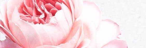 NikkiNyy's profile banner image