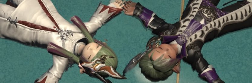 irisviel_L's profile banner image