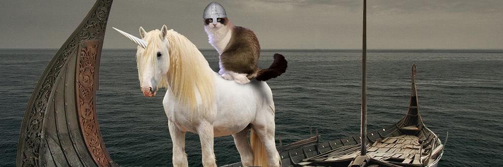 Vikingcat91's profile banner image