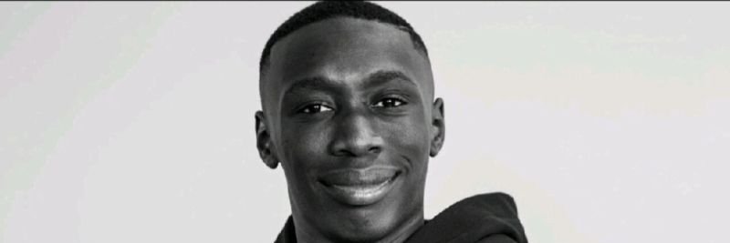 borphephem's profile banner image