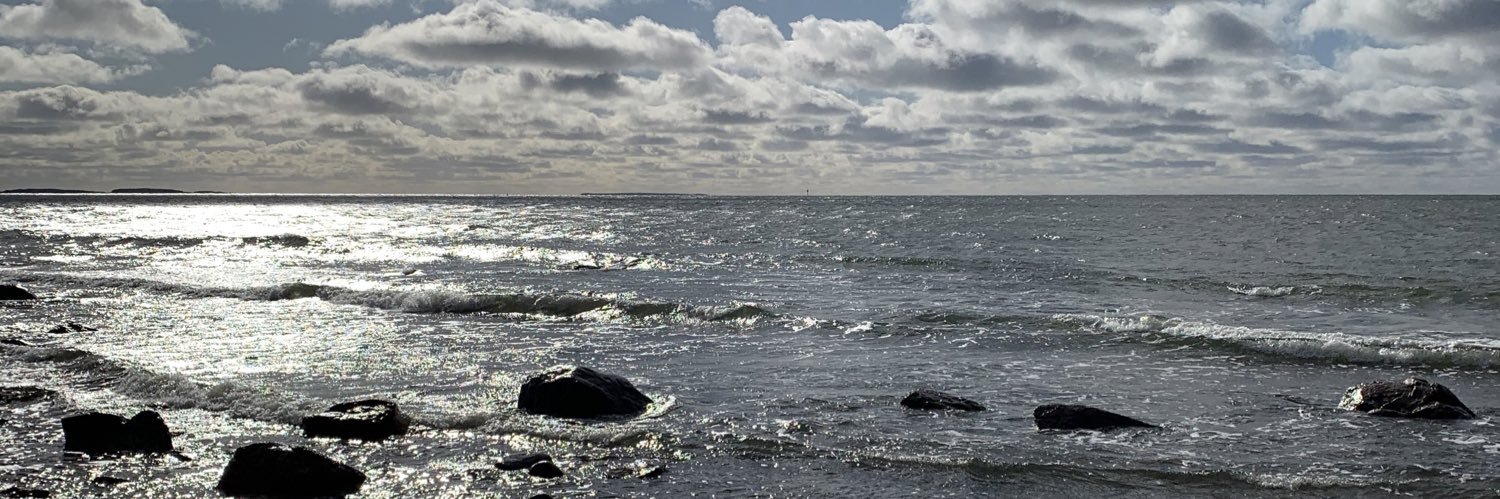 KRuohonen's profile banner image