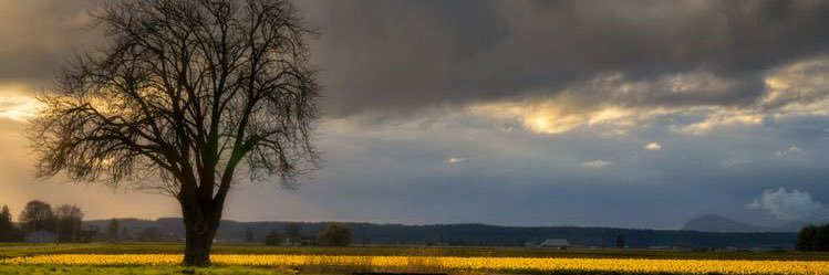 nindae_'s profile banner image