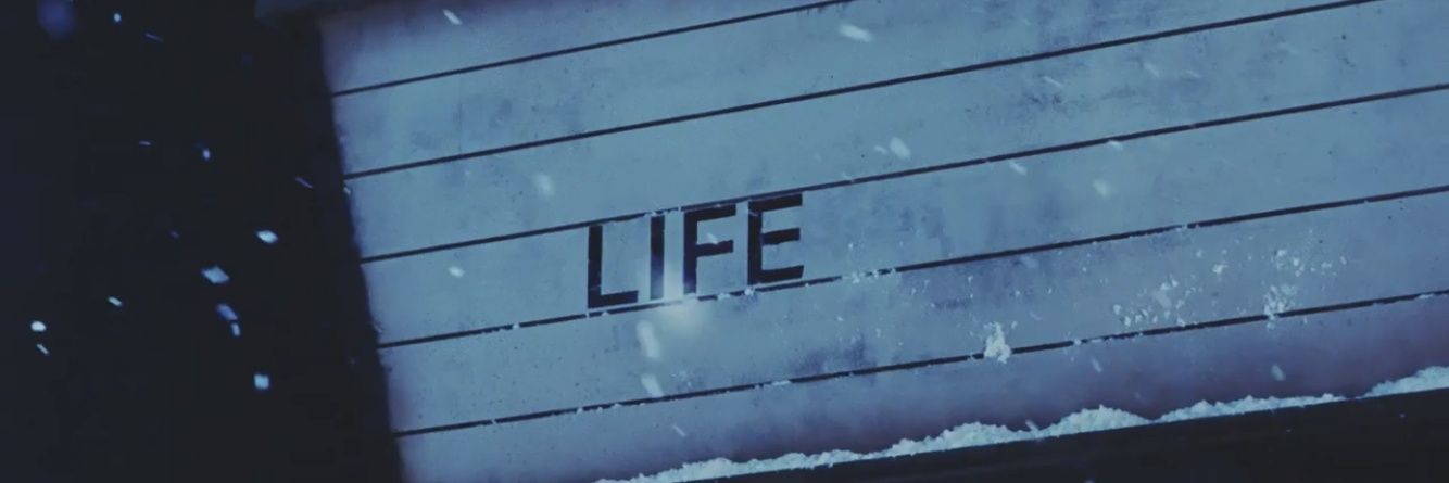 Кэсин 🌿 banner