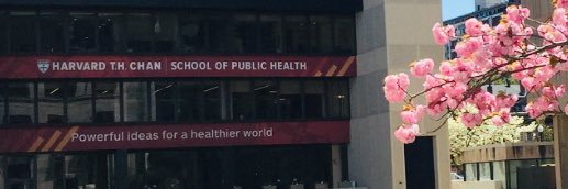 Harvard Chan SPH Recruitment Services banner
