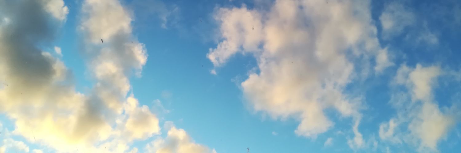 FCrossay's profile banner image