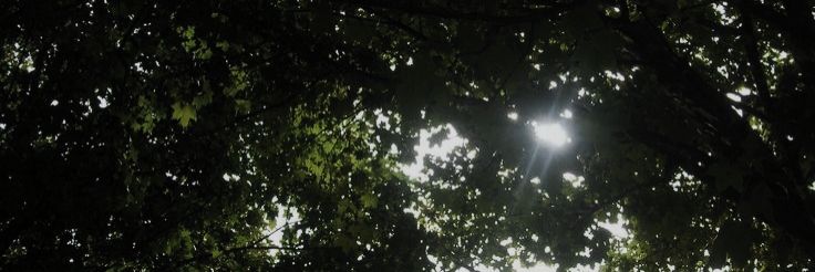 ֹ banner