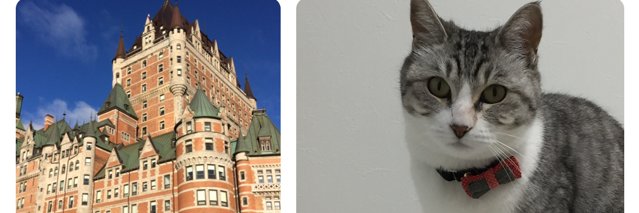 mukumother's profile banner image