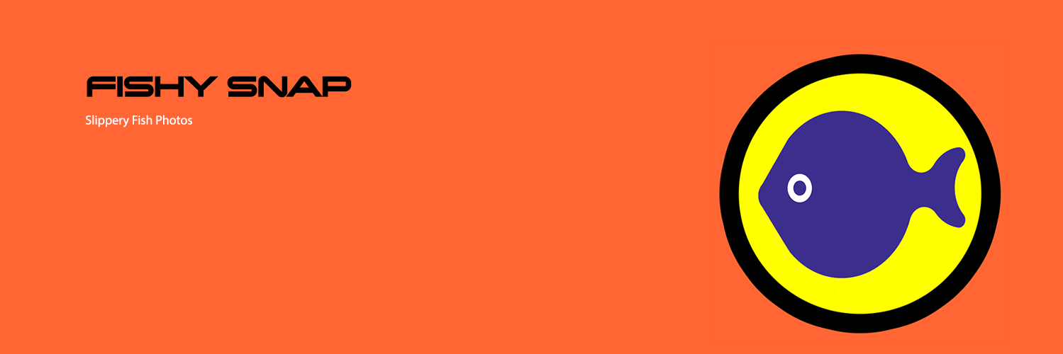 fishysnapapp's profile banner image