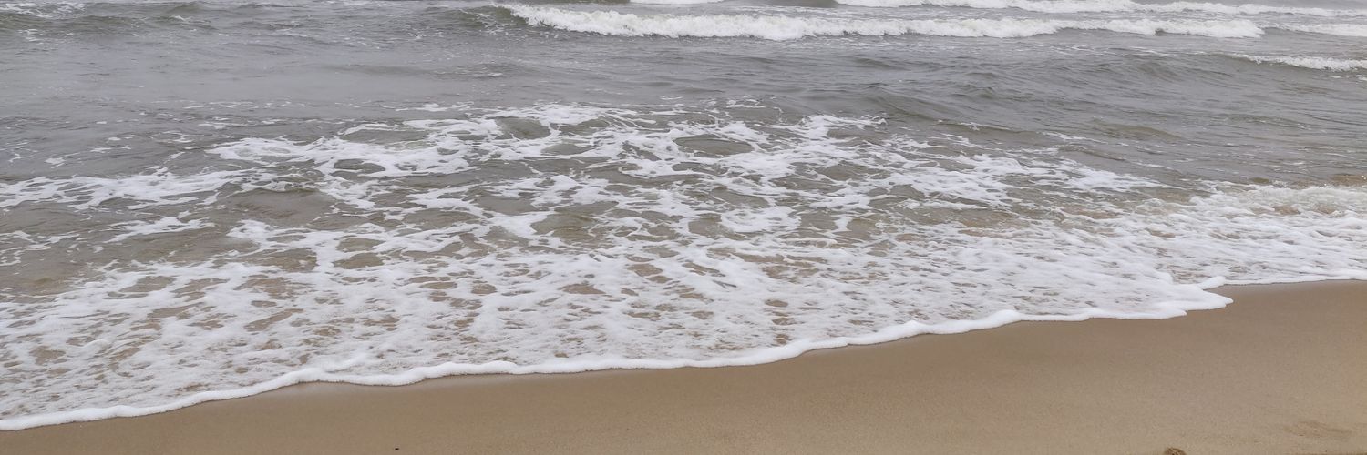 bvccaneer's profile banner image