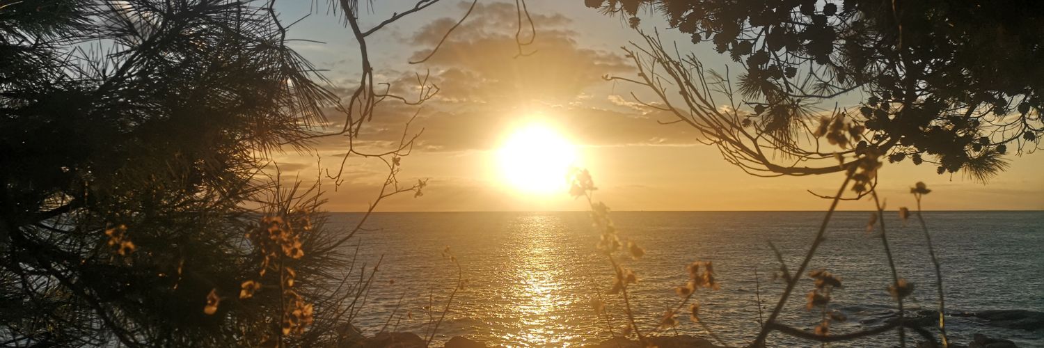 ParesPep's profile banner image