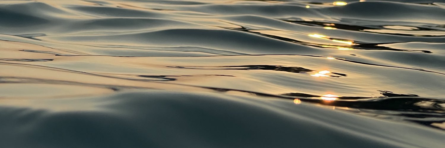 snflr__'s profile banner image