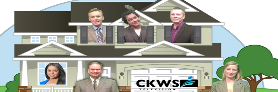 The_WS_Daily's profile banner image