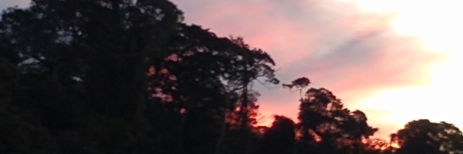 noortgate's profile banner image