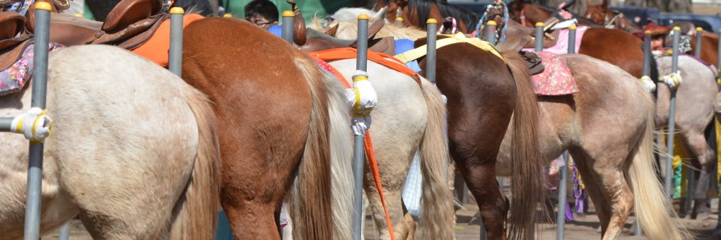 RedGingerTop's profile banner image