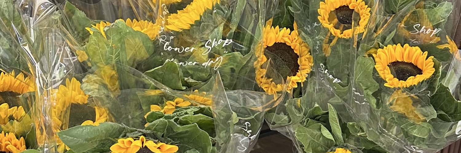 𝙗𝙖𝙗𝙚𝙢𝙚𝙡 💫🫧 banner