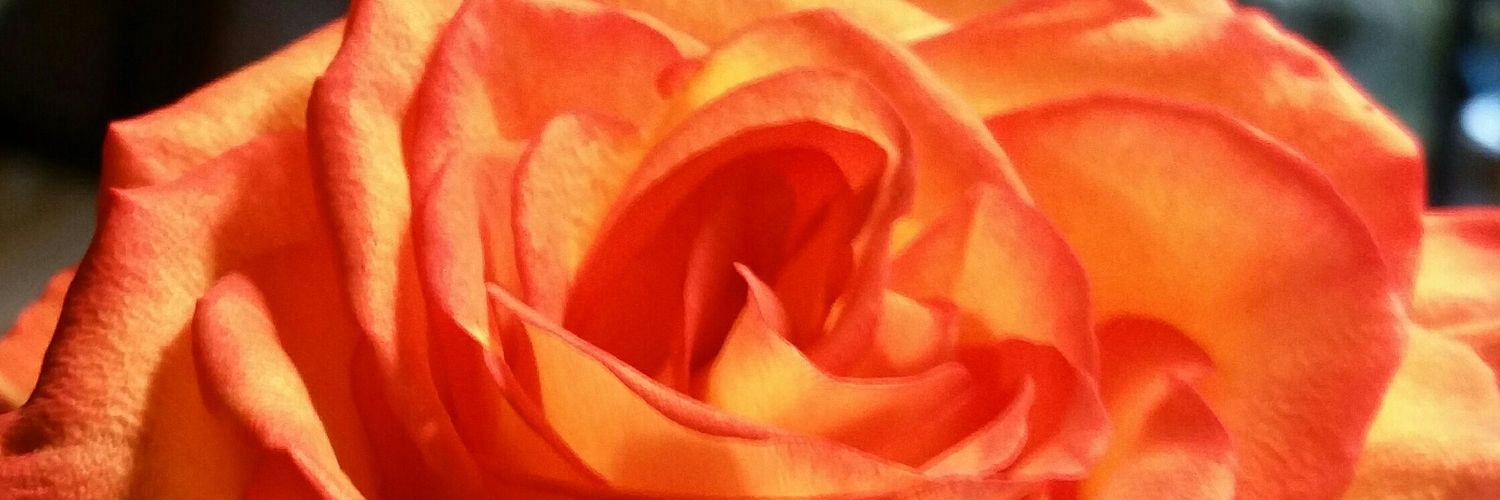 jazmina88's profile banner image