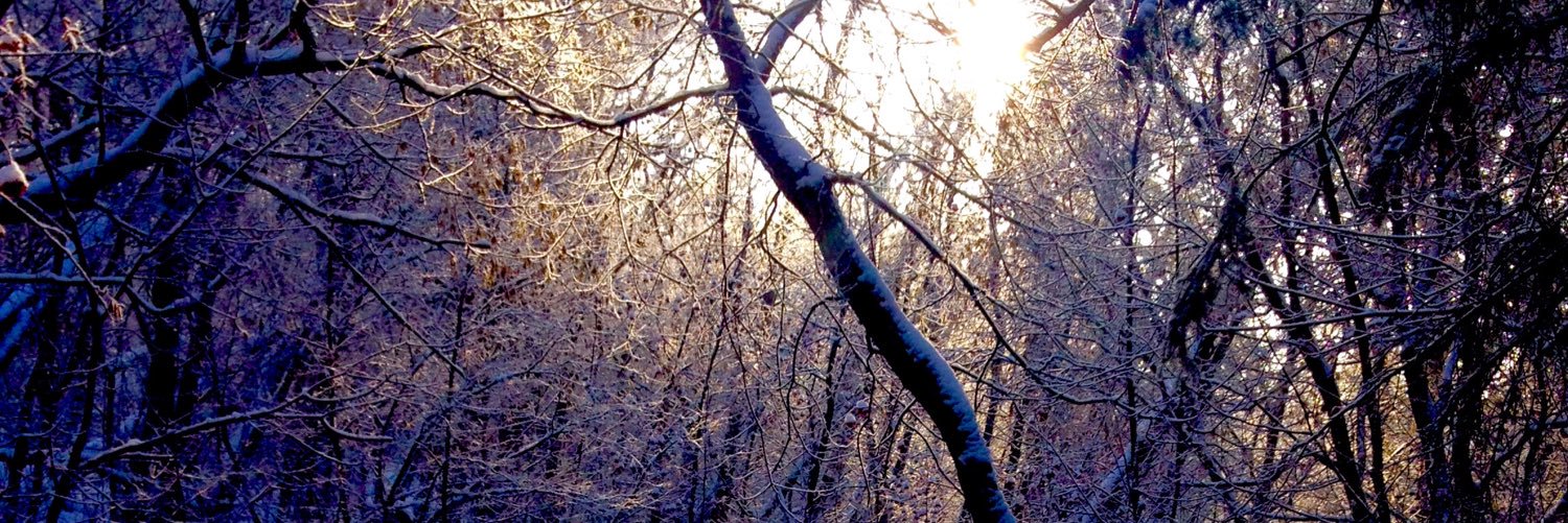njdalbertan's profile banner image