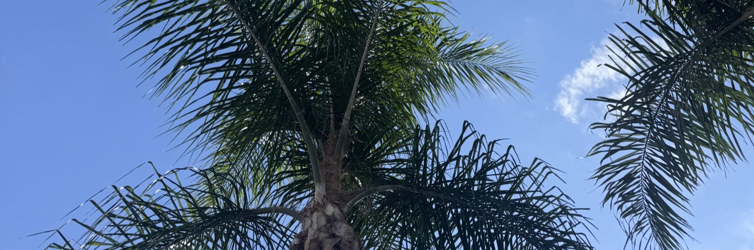 QuecheeGirl's profile banner image