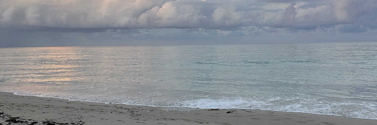 NikiLarocca's profile banner image