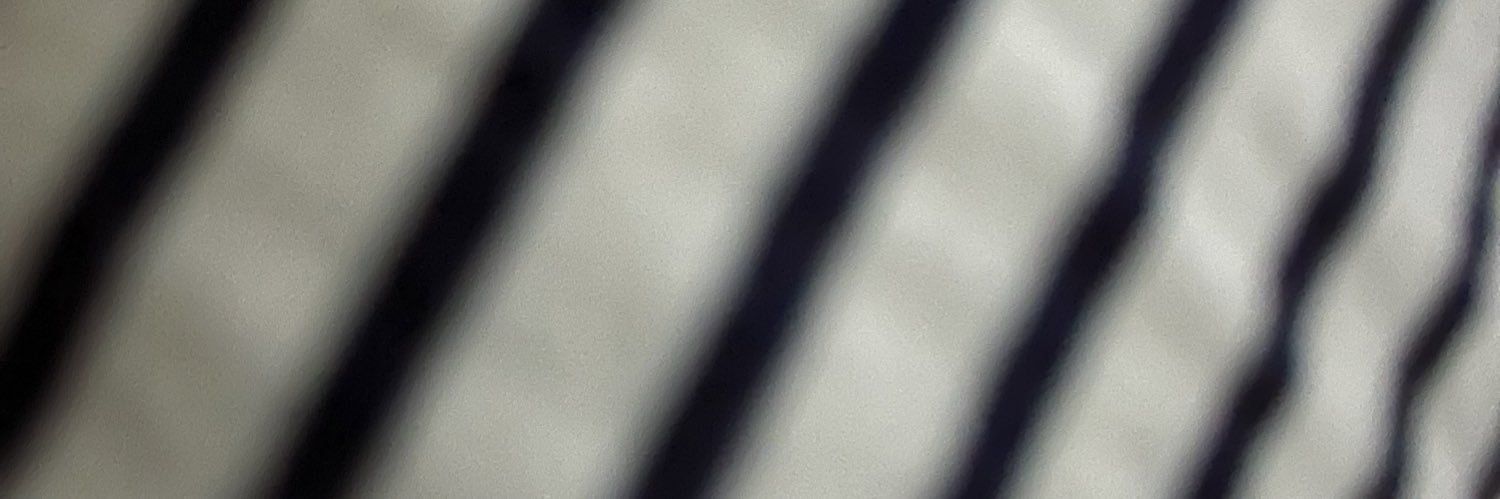 Nikki banner