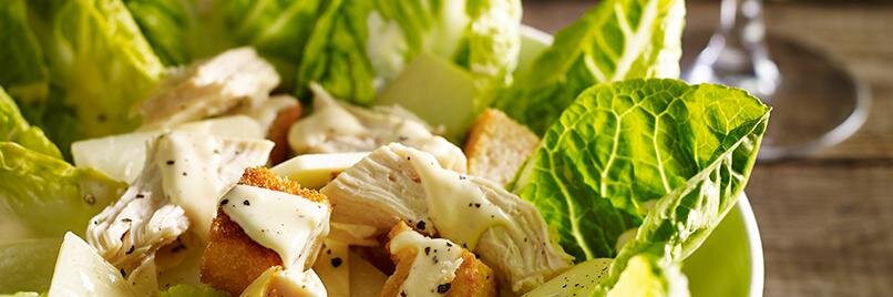 Dartbridge Inn Devon banner