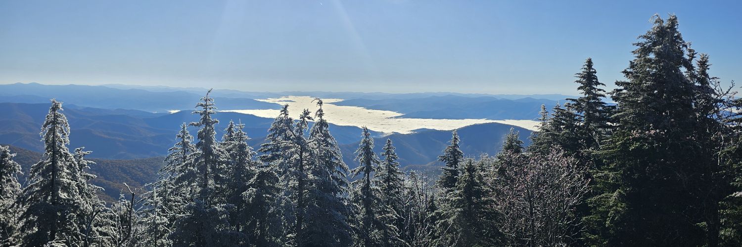 Kathy Patrick banner