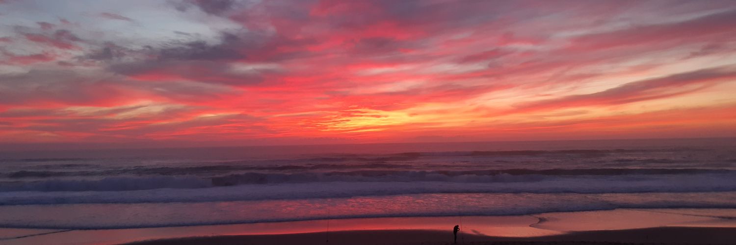 Cindyalr's profile banner image