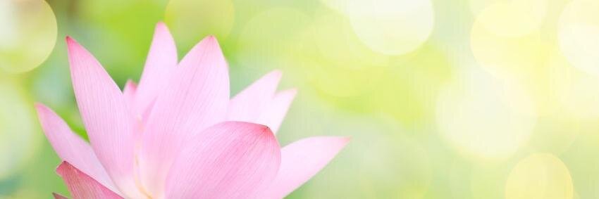 Valpolotus's profile banner image