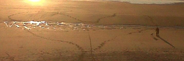 cadiz86's profile banner image