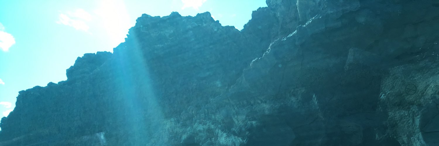 amazonas1881's profile banner image
