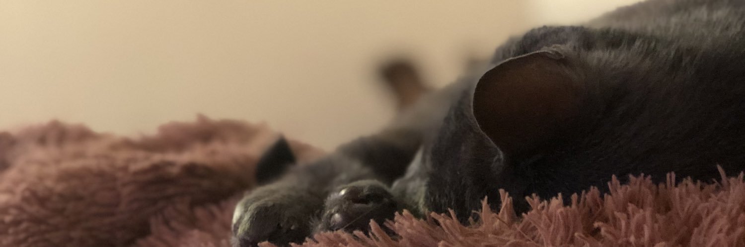 hiphippie's profile banner image